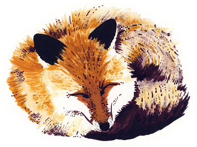 Fox animal design fox gouache illustration painting