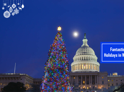 Fantastic Adventure Holidays in Washington D.C