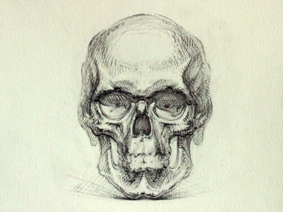Practice of anatomy draw pencil skull