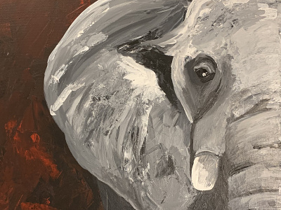 Focus acrylic paint african animals canvas elephant