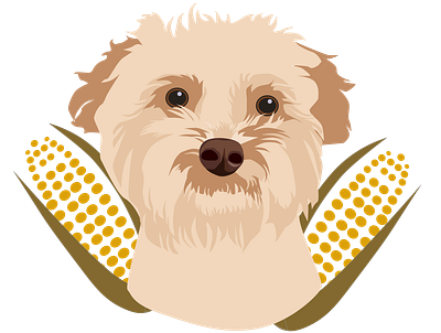 Cornbread the dog corn cornbread dog illustration portrait sketch vector art