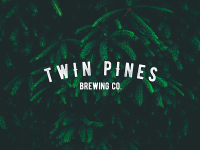 Twin Pines branding brewery brewing design font logo pine pines rustic twin pines type typography