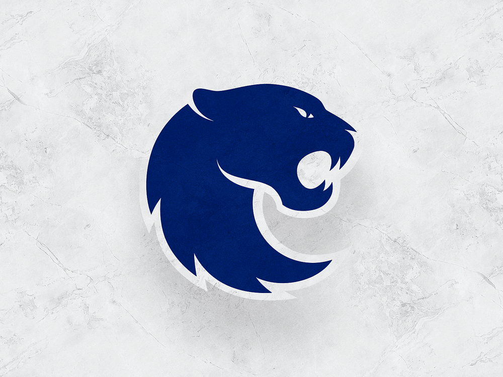 FURIA Logo by Luan Corrêa on Dribbble