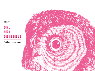 Oh, Hey Dribble! debut love makeitcount owl pink