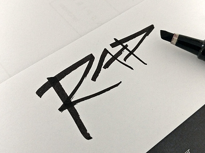 What did you read? brushpen calligraphy freestyle hand lettering instant lettering logo logotype minimal rad rap