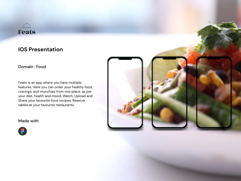 presentation on food delivery app