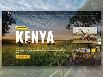 Travel Website UI - Kenya adobe africa concept kenya photoshop travel ui ux ux ui design webdesign