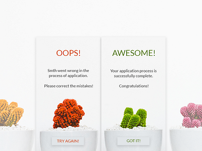 Daily Ui #011 - Flash Message (Error/Success) daily ui daily ui 011 flash message ui design