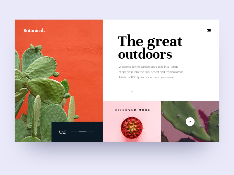 Cactus Observatory botanical succulent cactus plant brand clean identity illustration mobile lettering app web website minimal flat typography branding ux ui design
