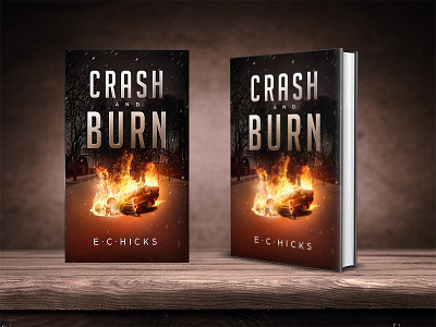 Cash And Burn book cover design fantasy miblart publishing self publishing