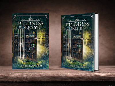 Madness Of My Dreams book cover design fantasy miblart publishing self publishing