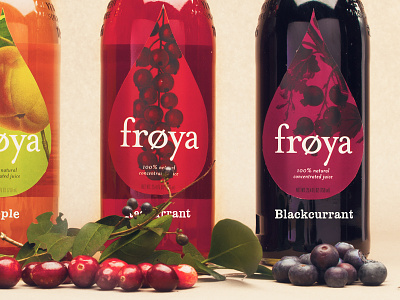 Frøya drinks frøya juice packaging saft