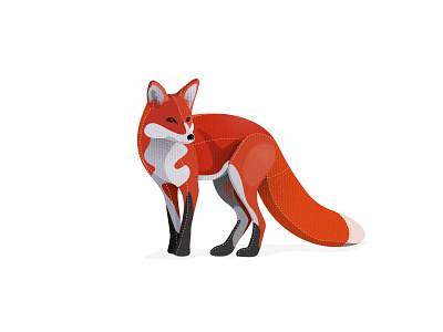 Just a Fox - Fabric animal colorful fox illustration orange red vector