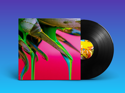 Conceptual Vinyl Cover colors eli grean identity case music vinyl