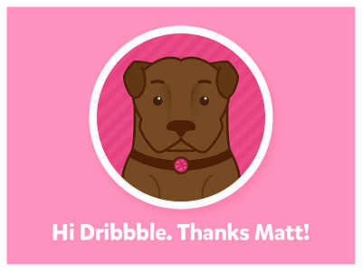 CW's Debut Shot! debut dog dribbble hello icon illustration logo shot vector