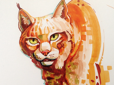 Lynx animal copic drawing hand drawn lynx marker orange sketch