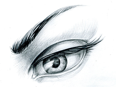 The Eye drawing eye eyebrow hand drawn illustration pencil sketch