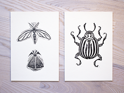 Linocut Insects bug illustration insects lino lino print linocut linoleum linoprint moth