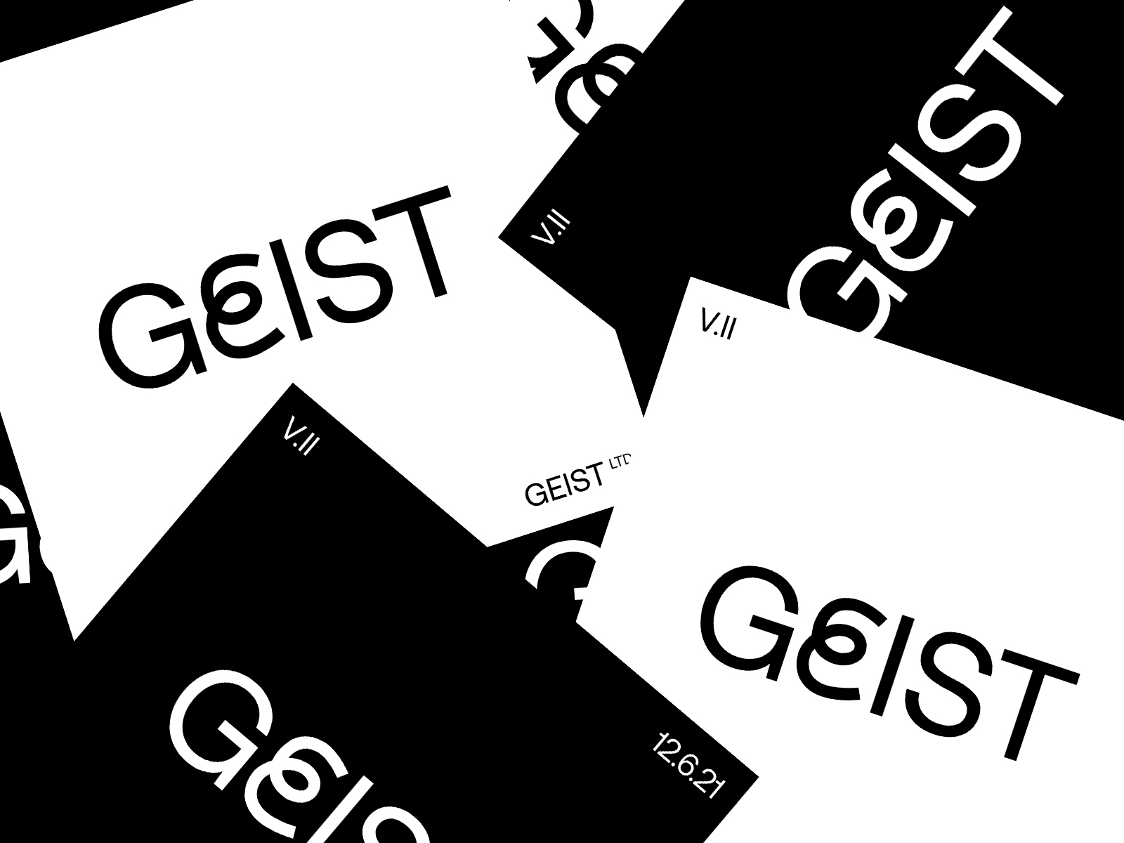 Geist Camera - Branding Study