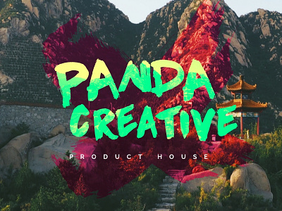 The new Panda Creative landing page branding creative landing logo page panda splash stockholm