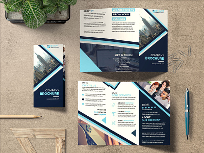 Tri-fold Brochure print