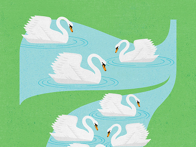 7 Swans-A-Swimming illustration texture