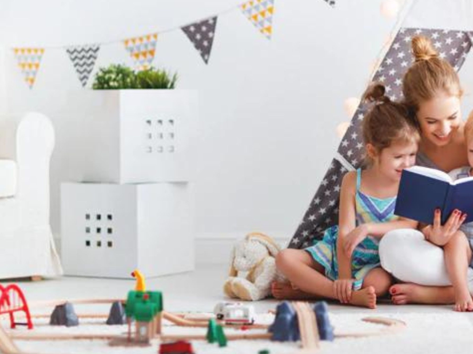 The Best Gift Shops In Tampa Florida by Cardinal And The Dog on Dribbble