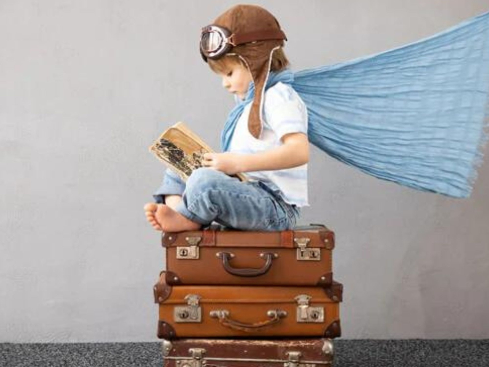 Exclusive Gift Shop Near Tampa Cardinal & The Dog by Cardinal And The