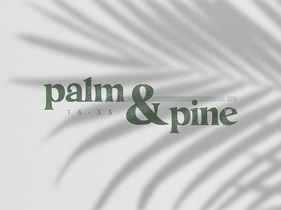 Shadows green leaf palm pine shadow texture typography