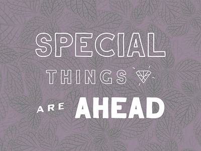 Special Things Are Ahead diamond illustration nature photography typography