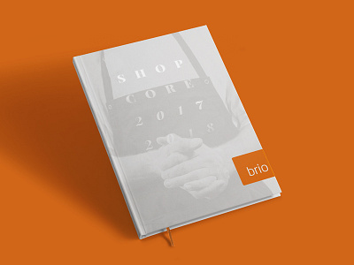 Brio catalog book catalog design kitchen paper print typography uv varnish