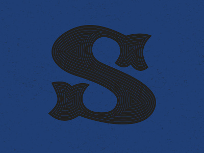 'S' letter typehue typography