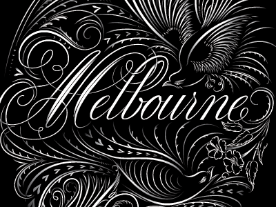 Melbourne calligraphic calligraphy custom lettering flourish lettering melbourne typography vector