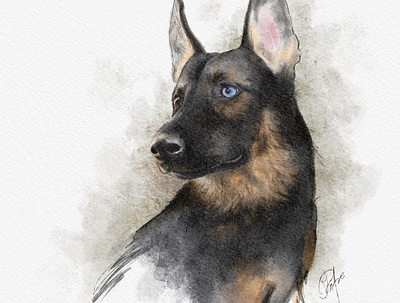 Esri the Mascot digital illustration dog german shepherd procreate watercolor watercolour