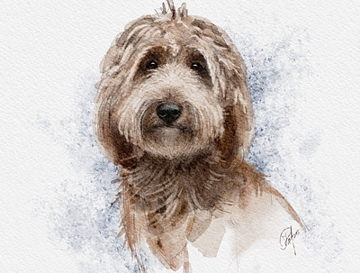 Maple digital illustration dog dog portrait procreate watercolor