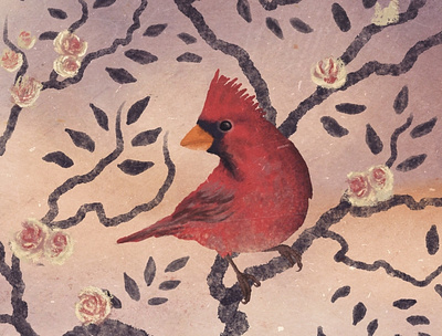 Male Cardinal bird cardinal digital illustration procreate