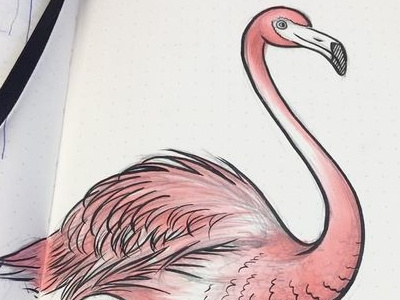 Flamyngo 💕 copic flamingo flamyngo illustration ink pencil sketch