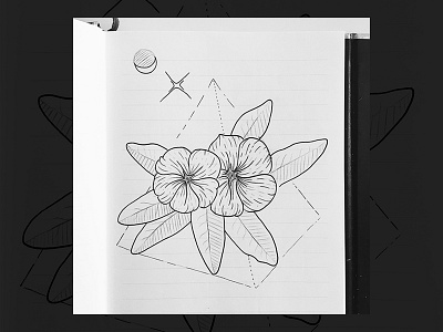 🌺 art drawing egypt flower illustration moon pyramid sketch