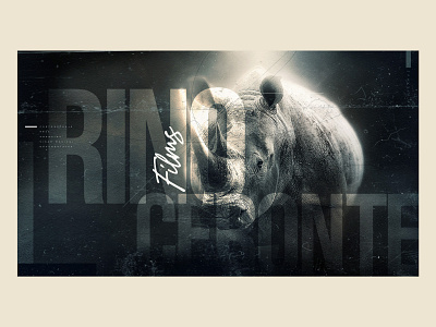 RINOceronte Films Concept Art© art direction branding concept art design homepage design illustration retoque ui ui designs web website