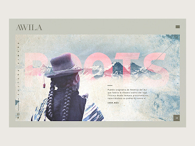 Concept website AWILA©