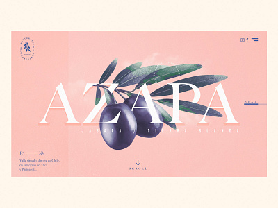 Concept website AZAPA© art direction artwork design design art designer homepage design interface logo olive ui ui designs web website