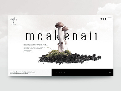 Concept website NATURAL SPORES© art direction homepage design homepagedesign interfacedesign logo ui ui designs uidesign web website