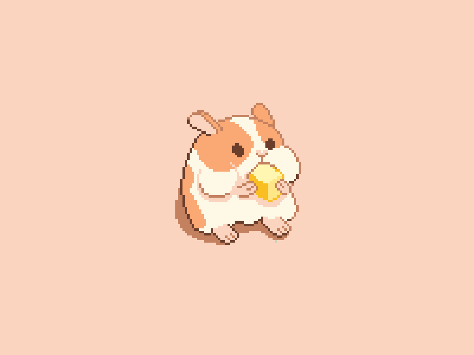 Hamster by Pixel Yuan on Dribbble