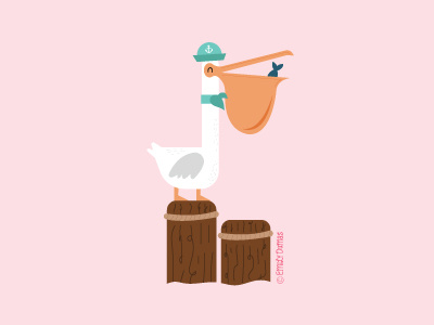 Pelican bird illustration pelican pier sailor summer vetor