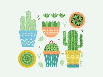 Cacti cacti cactus illustration illustrato succulents vector