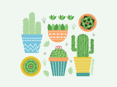 Cacti