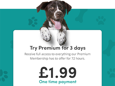 Subscription for membership on dog website design dog membership pet subscribe ui web design