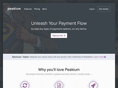 Peakium Landingpage clean dark grey header homepage icons landingpage minimal payment subscription