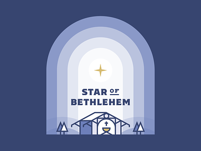 Star of Bethlehem / Christmas Star 2020