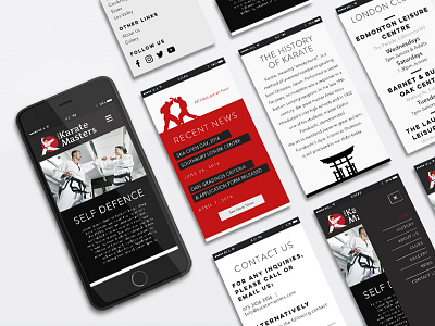 Martial Arts UI branding dribbble identity karate logo martial arts mobile responsive design ui ux website wip